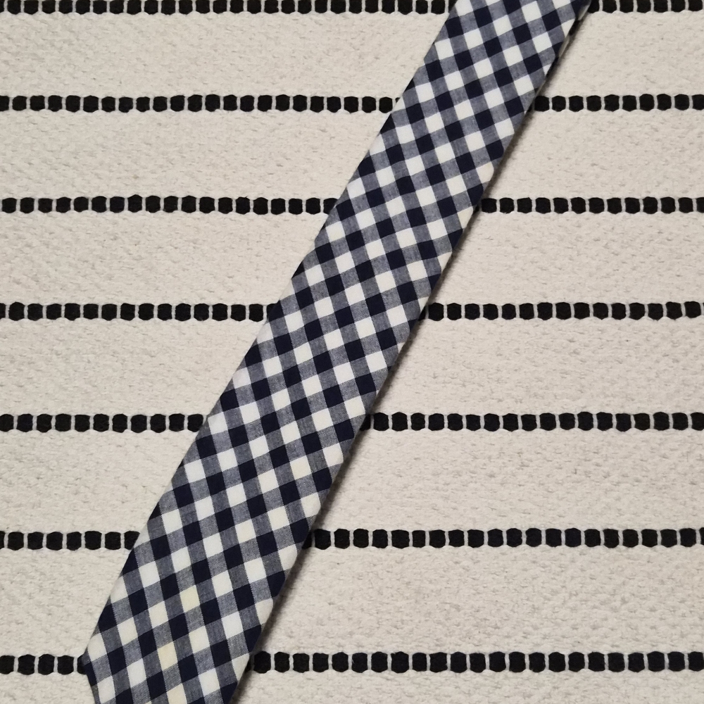 J. Crew Navy and White Gingham Tie